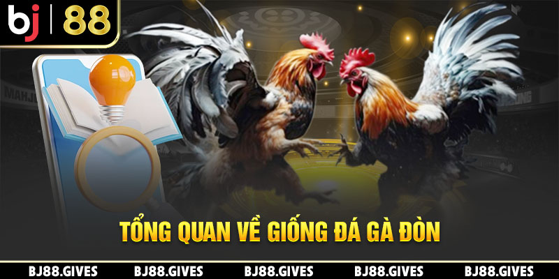 Tổng quan về giống đá gà đòn