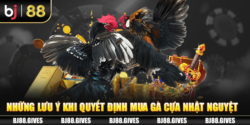Những lưu ý khi quyết định mua gà cựa nhật nguyệt
