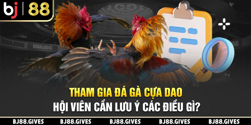 Tham gia đá gà cựa dao hội viên cần lưu ý các điều gì?